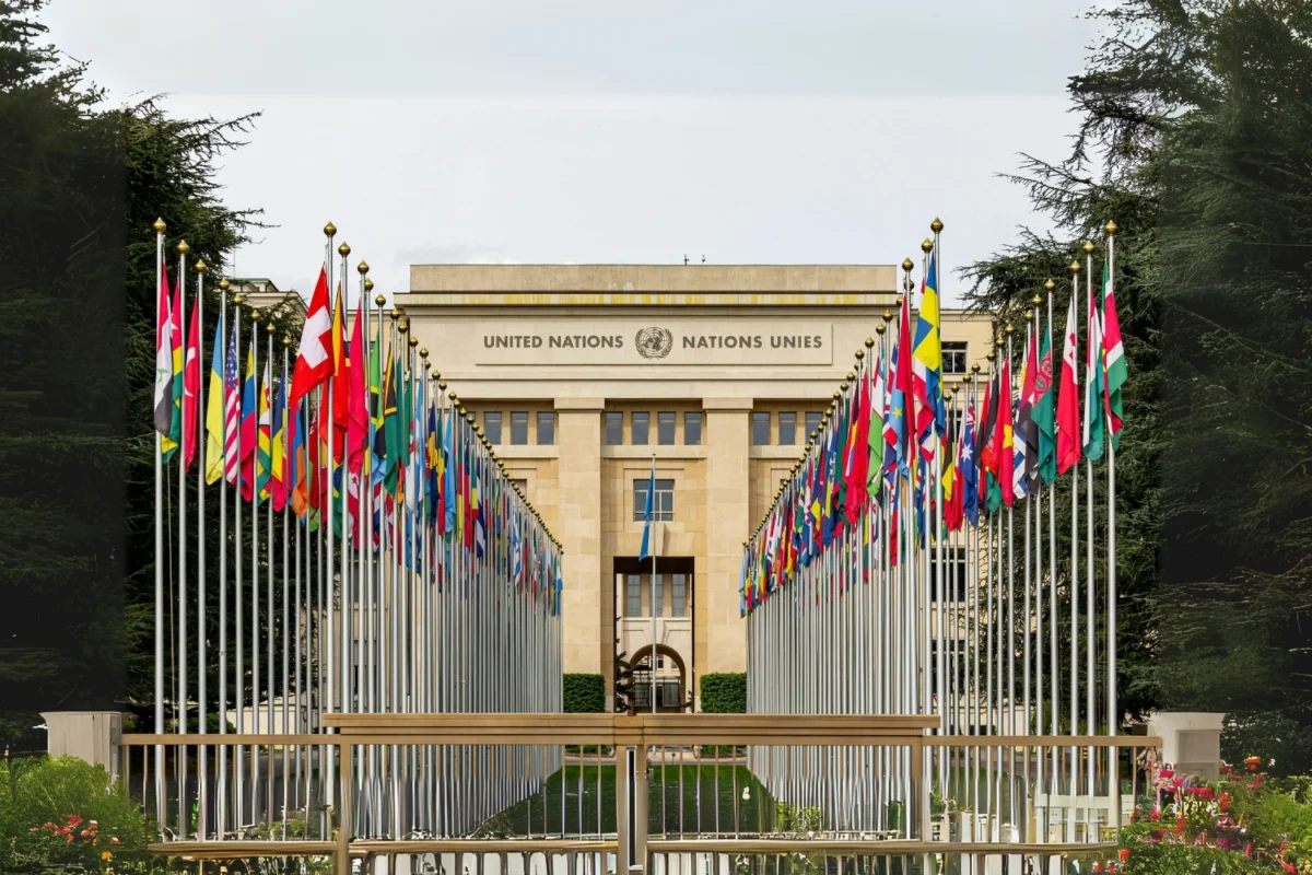 Türkiye'de Staj Fırsatları