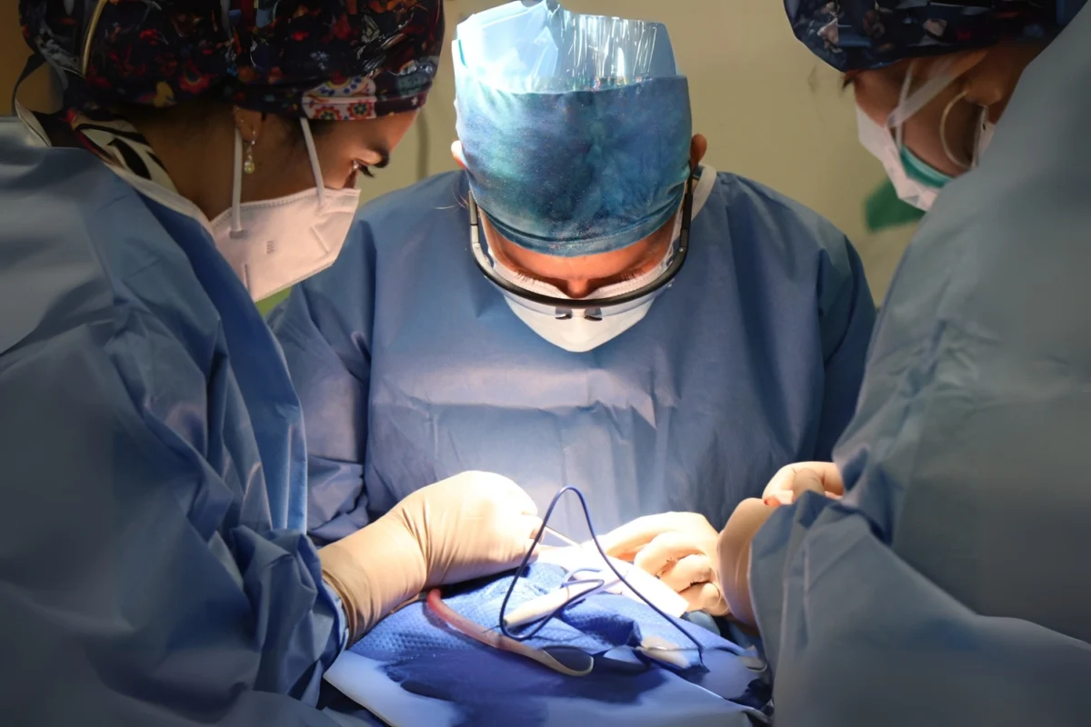 Yurtdışında Tıp Eğitimi